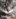 user avatar user avatar