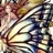 anouli